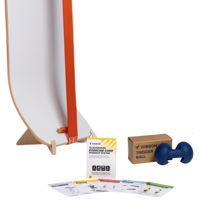 Recovery Bundle