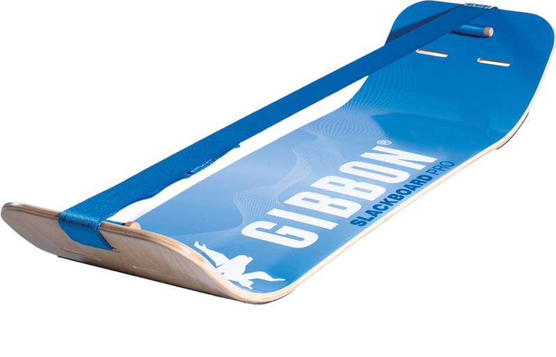 SlackBoard Pro - Vibe