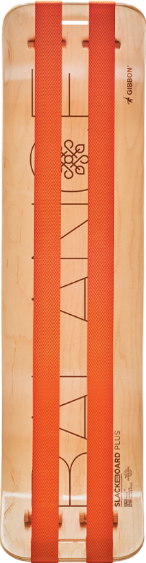 SlackBoard Plus - Balance - Imperfect