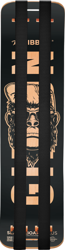 SlackBoard Plus - Caesar - Imperfect
